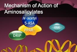 Mechanism of Action of Aminosalicylates